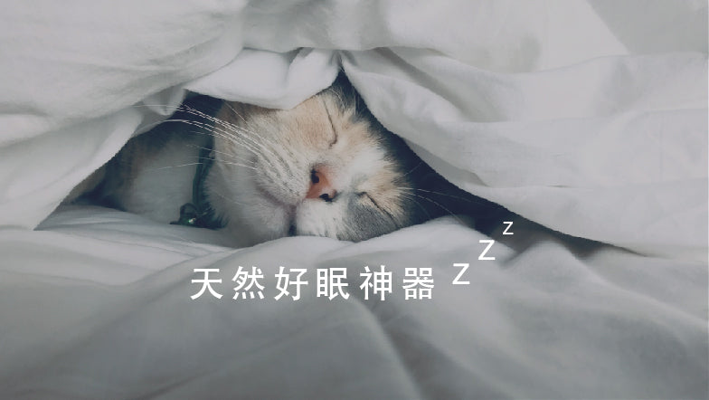 零成癮性無副作用,天然好眠神器,LightFIT 呵睏EXCBD好眠膠囊,成分安全:獨家配方皆來自天然植物萃取,研發投入超過 10 年時間。無成癮性:無安眠藥的成癮性,0THC,即使停用也不會出現「反彈性失眠」,對人體無負擔。無副作用:研究顯示 β-石竹烯幾乎沒有任何副作用,能長期食用。無依賴性:不需天天使用,也能一覺到天亮。