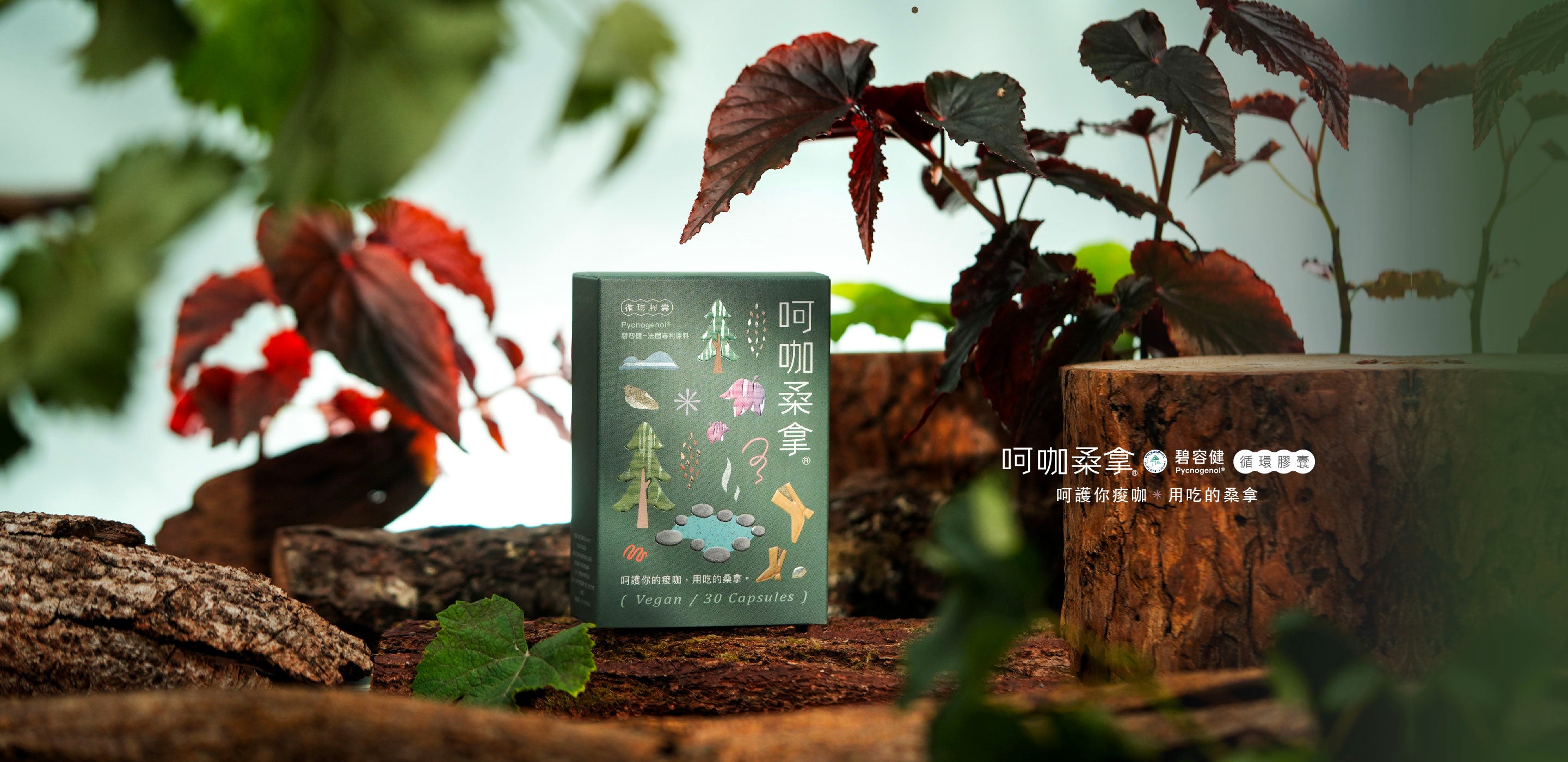 LightFIT 呵咖桑拿碧容健循環膠囊，嚴選珍稀法國專利碧容健 Pycnogenol 松樹皮萃取，被譽為素食界的魚油，專為久坐久站族強力支持血液循環、消除下半身沉重感的新陳代謝保健食品推薦。消水腫Top.1，LightFIT 台灣保健食品，第一推薦，堅持，呵護你的健康。